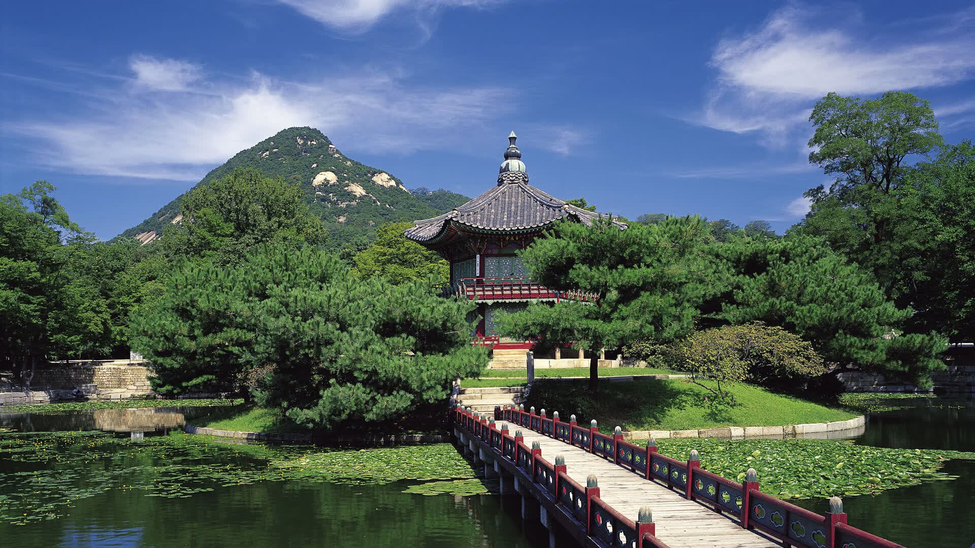 世界自行车计时锦标赛:气候变化影响成绩,世界自行车锦标赛冠军